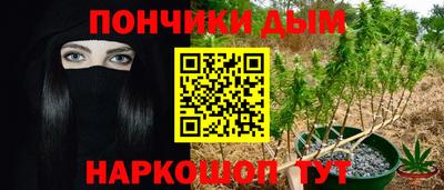 молекула духа Пенза