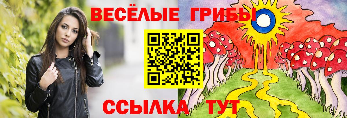 Псилоцибиновые грибы GOLDEN TEACHER  Галлюциногенные грибы Psilocybe  Серов  Вход с VPN 